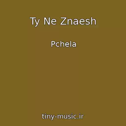 کاور آهنگ Ty Ne Znaesh از Pchela