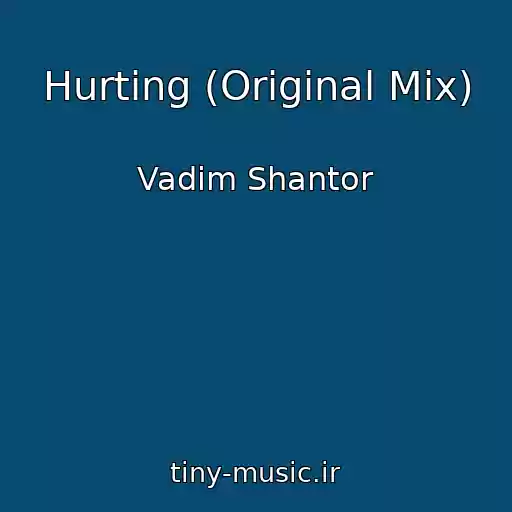 کاور آهنگ Hurting (Original Mix) از Vadim Shantor