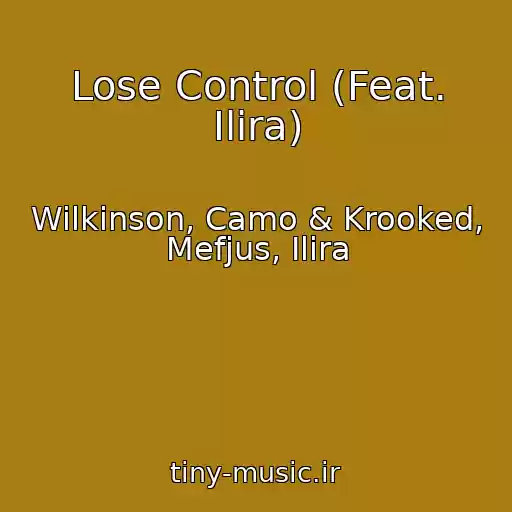 کاور آهنگ Lose Control (Feat. Ilira) از Wilkinson, Camo & Krooked, Mefjus, Ilira