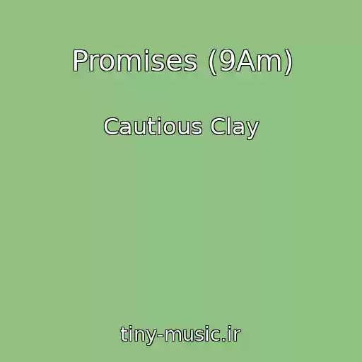 کاور آهنگ Promises (9Am) از Cautious Clay