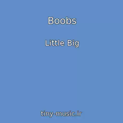 کاور آهنگ Boobs از Little Big