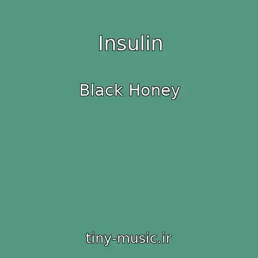 کاور آهنگ Insulin از Black Honey