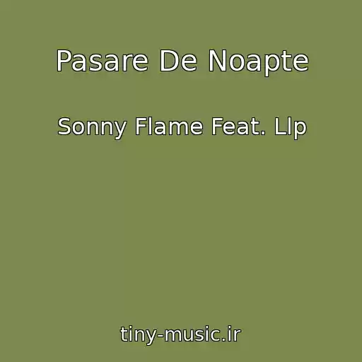 کاور آهنگ Pasare De Noapte از Sonny Flame Feat. Llp