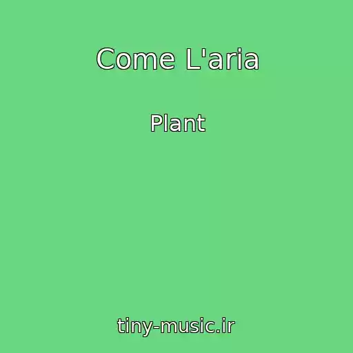 کاور آهنگ Come L'aria از Plant