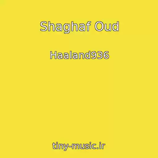 کاور آهنگ Shaghaf Oud از Haaland936