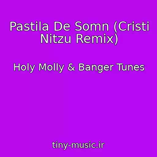 کاور آهنگ Pastila De Somn (Cristi Nitzu Remix) از Holy Molly & Banger Tunes