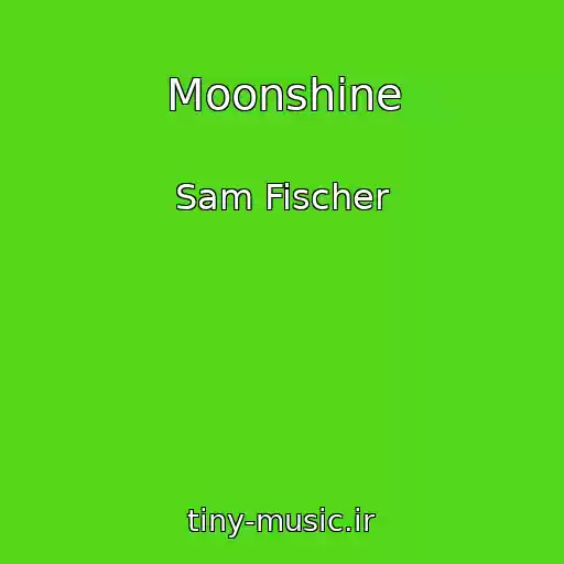 کاور آهنگ Moonshine از Sam Fischer