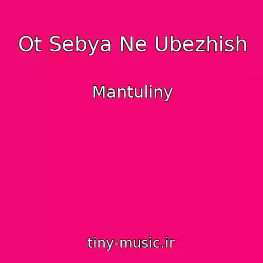 کاور آهنگ Ot Sebya Ne Ubezhish از Mantuliny