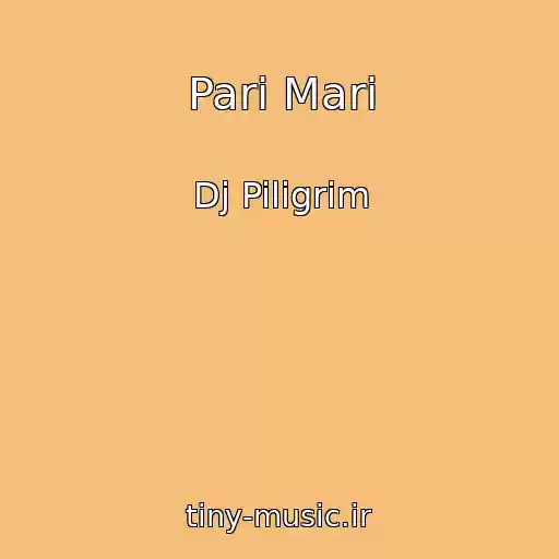 کاور آهنگ Pari Mari از Dj Piligrim