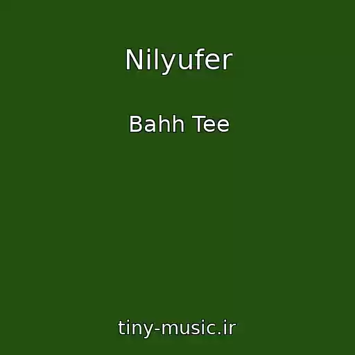 کاور آهنگ Nilyufer از Bahh Tee