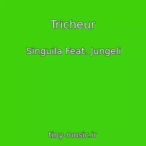 کاور آهنگ Tricheur از Singuila Feat. Jungeli