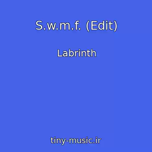کاور آهنگ S.w.m.f. (Edit) از Labrinth