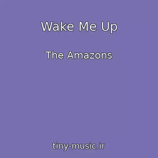 کاور آهنگ Wake Me Up از The Amazons