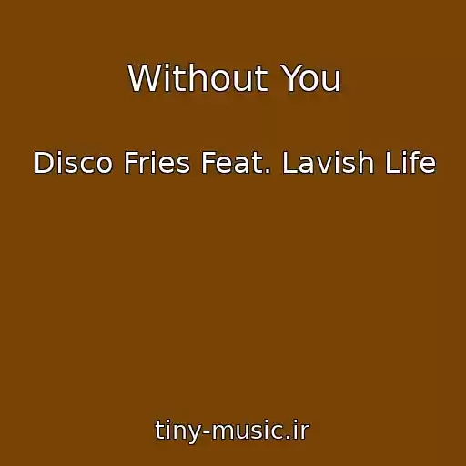 کاور آهنگ Without You از Disco Fries Feat. Lavish Life