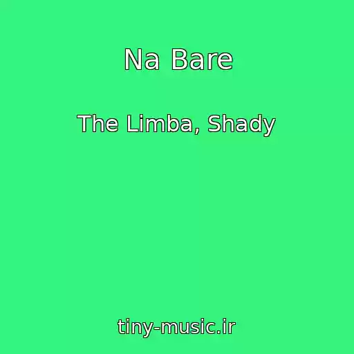 کاور آهنگ Na Bare از The Limba, Shady