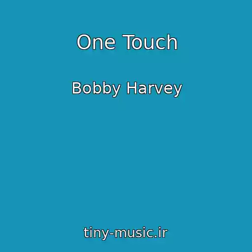 کاور آهنگ One Touch از Bobby Harvey