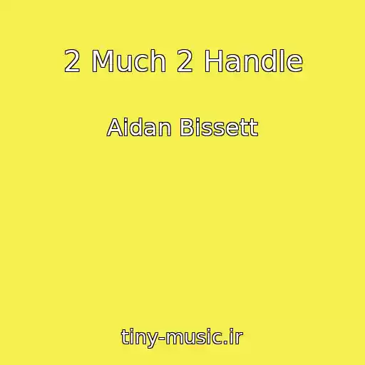 کاور آهنگ 2 Much 2 Handle از Aidan Bissett