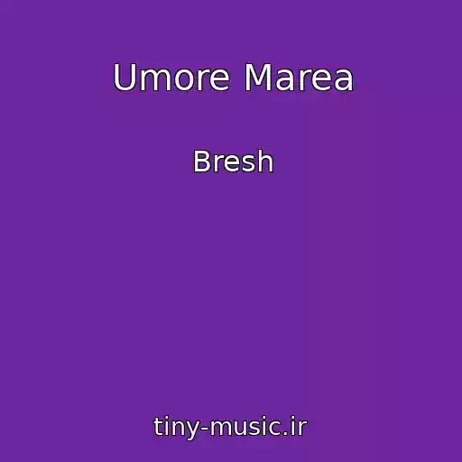 کاور آهنگ Umore Marea از Bresh