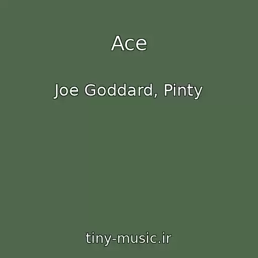 کاور آهنگ Ace از Joe Goddard, Pinty