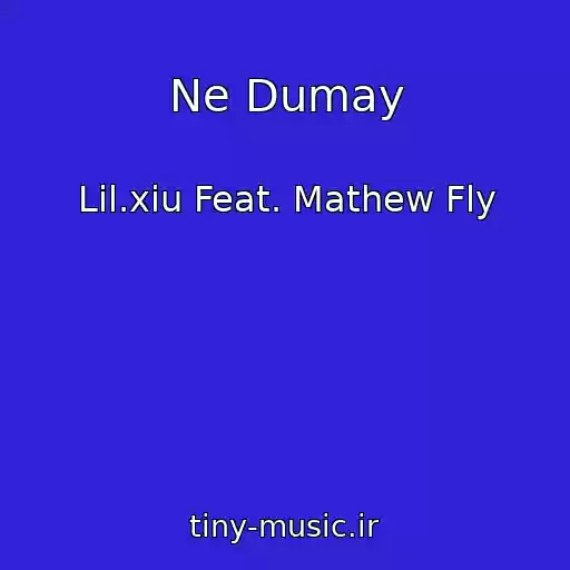 کاور آهنگ Ne Dumay از Lil.xiu Feat. Mathew Fly