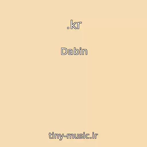 کاور آهنگ .kr از Dabin