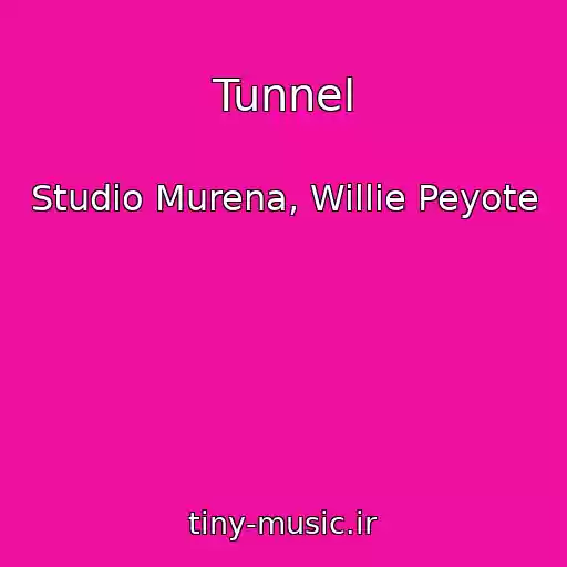 کاور آهنگ Tunnel از Studio Murena, Willie Peyote