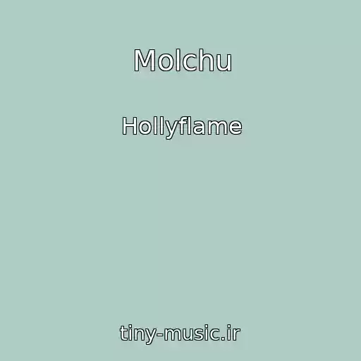 کاور آهنگ Molchu از Hollyflame