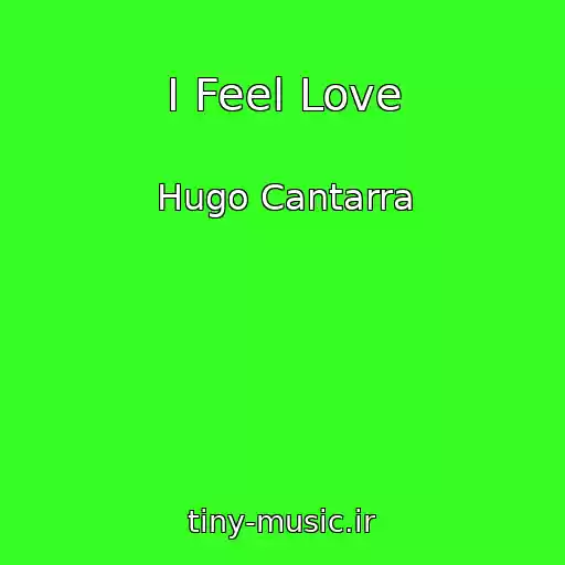 کاور آهنگ I Feel Love از Hugo Cantarra