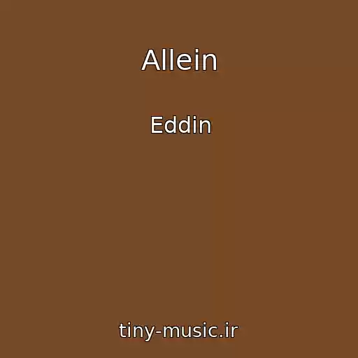 کاور آهنگ Allein از Eddin