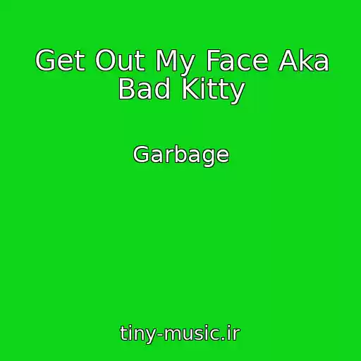 کاور آهنگ Get Out My Face Aka Bad Kitty از Garbage
