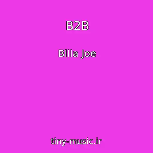 کاور آهنگ B2B از Billa Joe