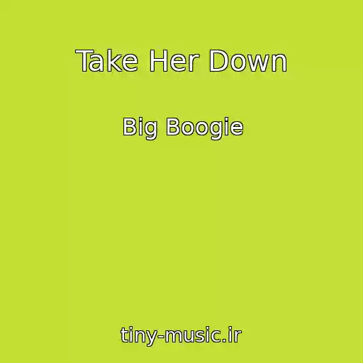 کاور آهنگ Take Her Down از Big Boogie