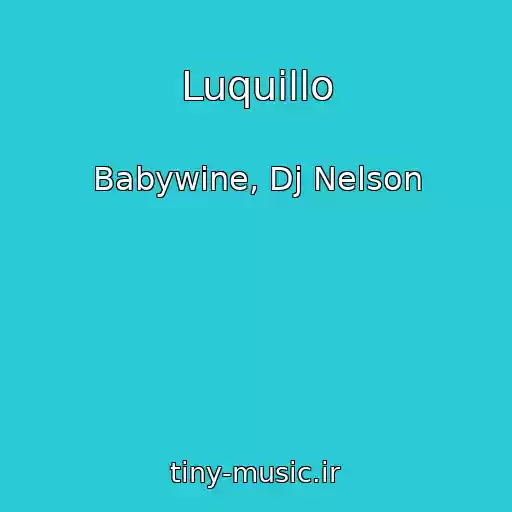 کاور آهنگ Luquillo از Babywine, Dj Nelson