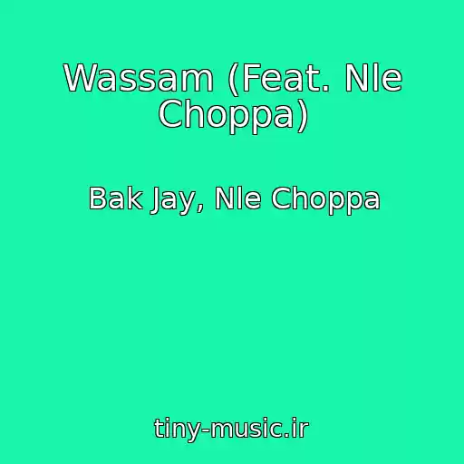 کاور آهنگ Wassam (Feat. Nle Choppa) از Bak Jay, Nle Choppa