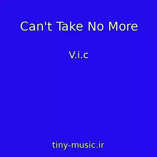 کاور آهنگ Can't Take No More از V.i.c