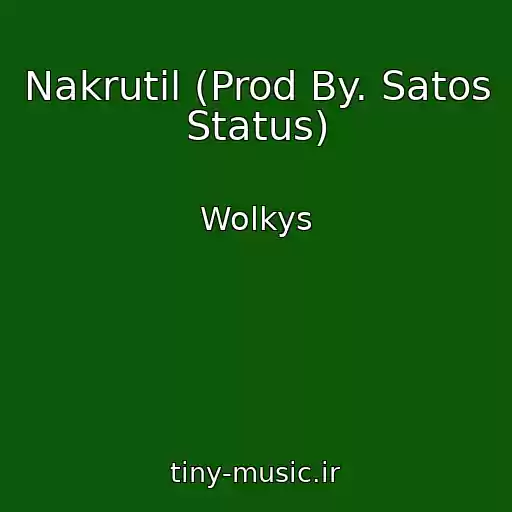 کاور آهنگ Nakrutil (Prod By. Satos Status) از Wolkys