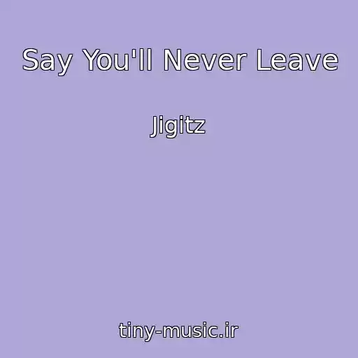 کاور آهنگ Say You'll Never Leave از Jigitz