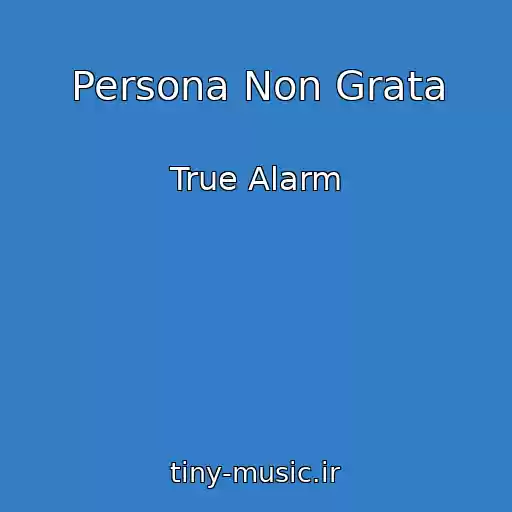 کاور آهنگ Persona Non Grata از True Alarm