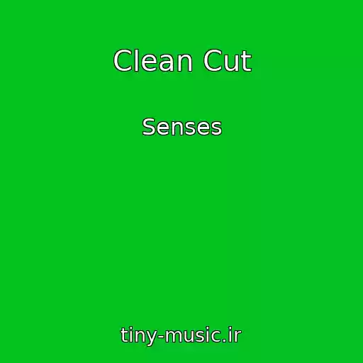 کاور آهنگ Clean Cut از Senses
