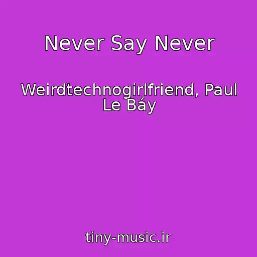 کاور آهنگ Never Say Never از Weirdtechnogirlfriend, Paul Le Báy