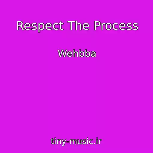 کاور آهنگ Respect The Process از Wehbba