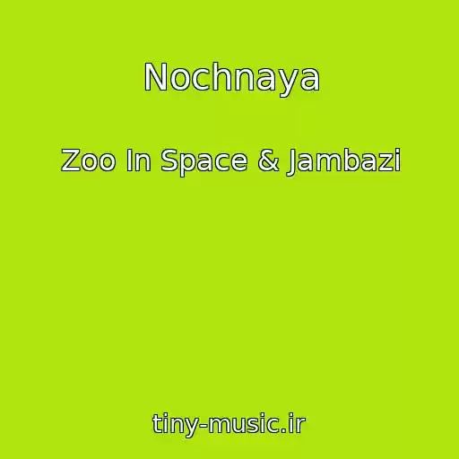 کاور آهنگ Nochnaya از Zoo In Space & Jambazi