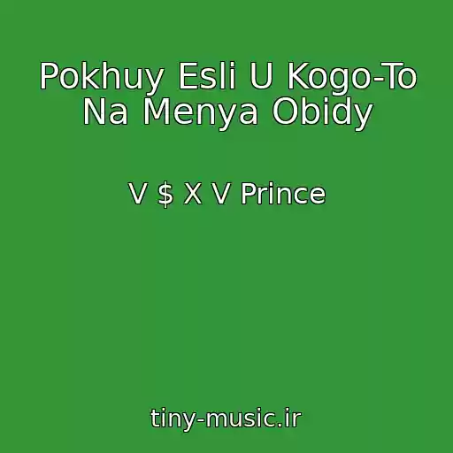 کاور آهنگ Pokhuy Esli U Kogo-To Na Menya Obidy از V $ X V Prince