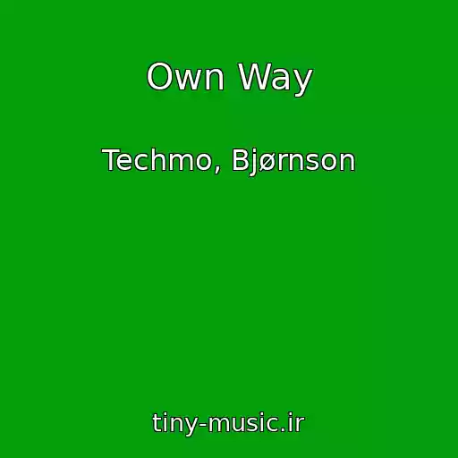 کاور آهنگ Own Way از Techmo, Bjørnson