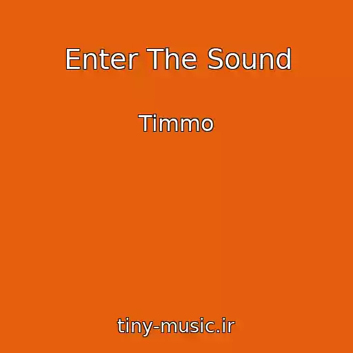 کاور آهنگ Enter The Sound از Timmo