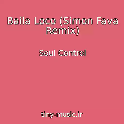 کاور آهنگ Baila Loco (Simon Fava Remix) از Soul Control