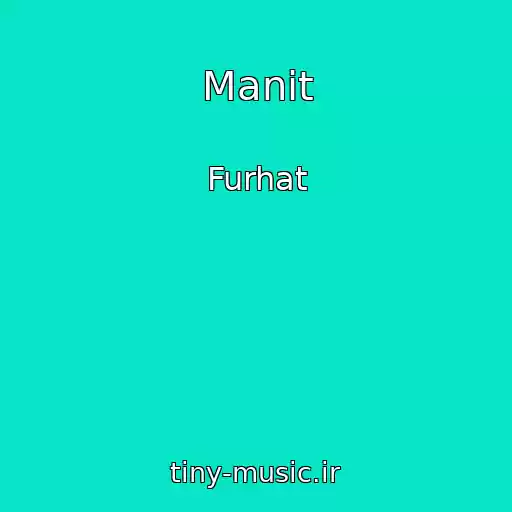کاور آهنگ Manit از Furhat
