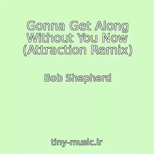 کاور آهنگ Gonna Get Along Without You Now (Attraction Remix) از Bob Shepherd
