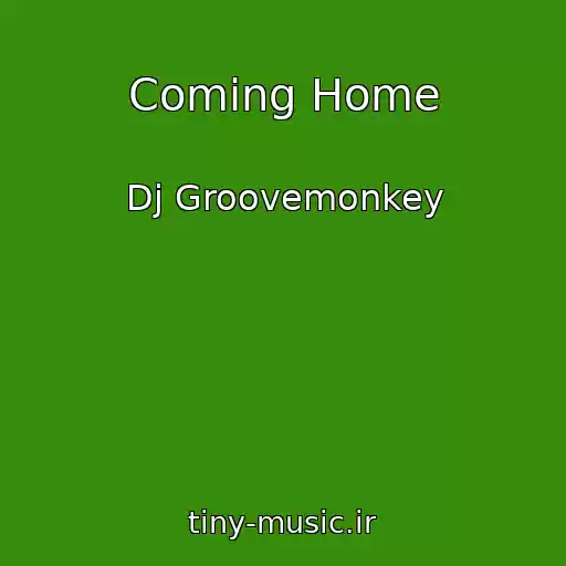کاور آهنگ Coming Home از Dj Groovemonkey