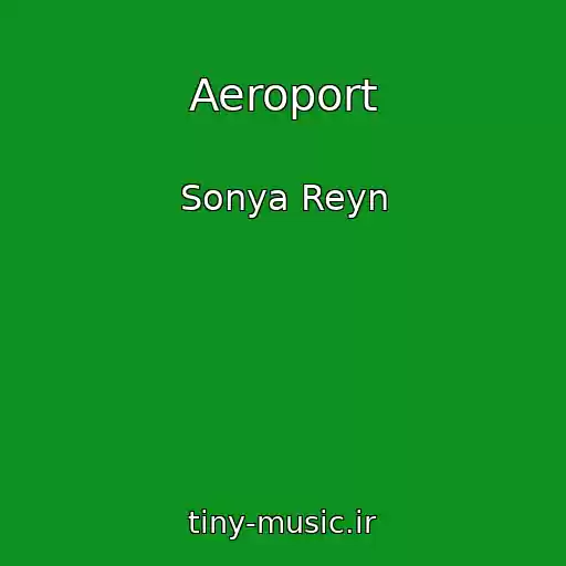 کاور آهنگ Aeroport از Sonya Reyn